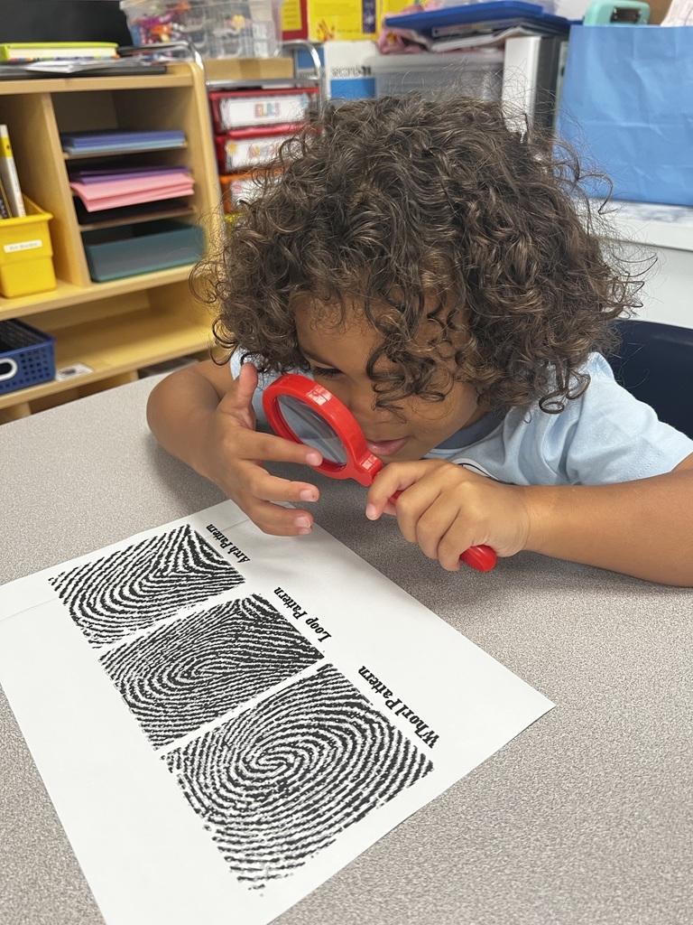 our class did an investigation of their fingerprints, and learned about the different types (Whorl, Arch, and Loop.)