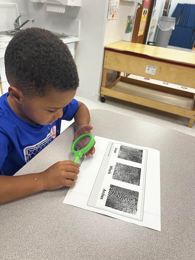 our class did an investigation of their fingerprints, and learned about the different types (Whorl, Arch, and Loop.)