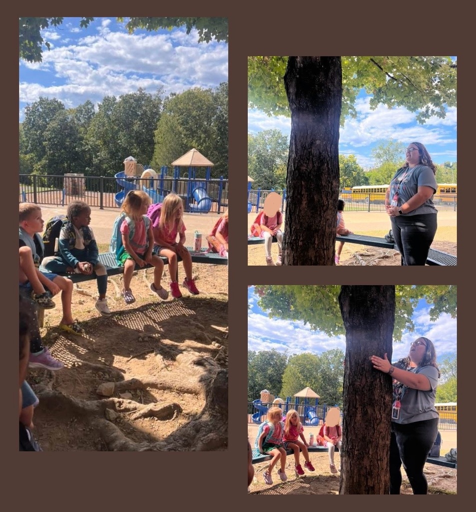 Miss Laura's class went outdoors to learn about roots, leaves, and all things trees!
