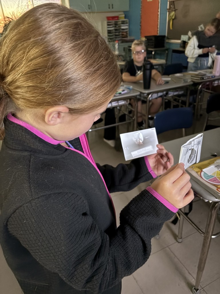 4th Grade Science learning how the eye works!