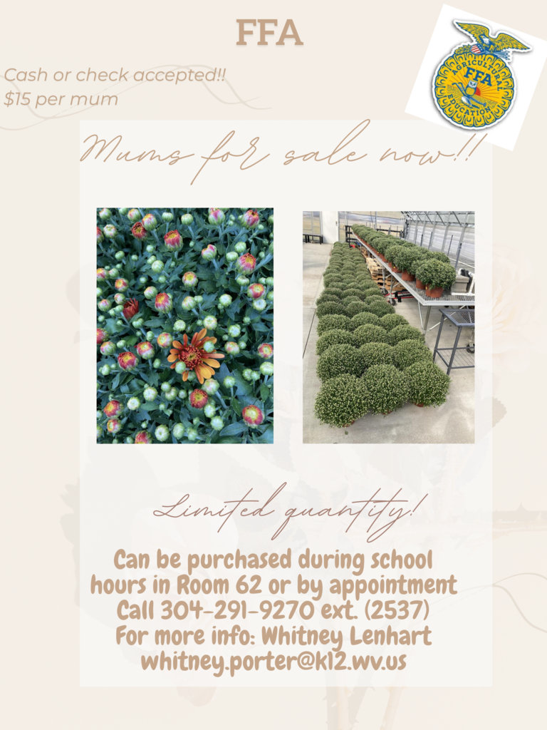 mums flyer