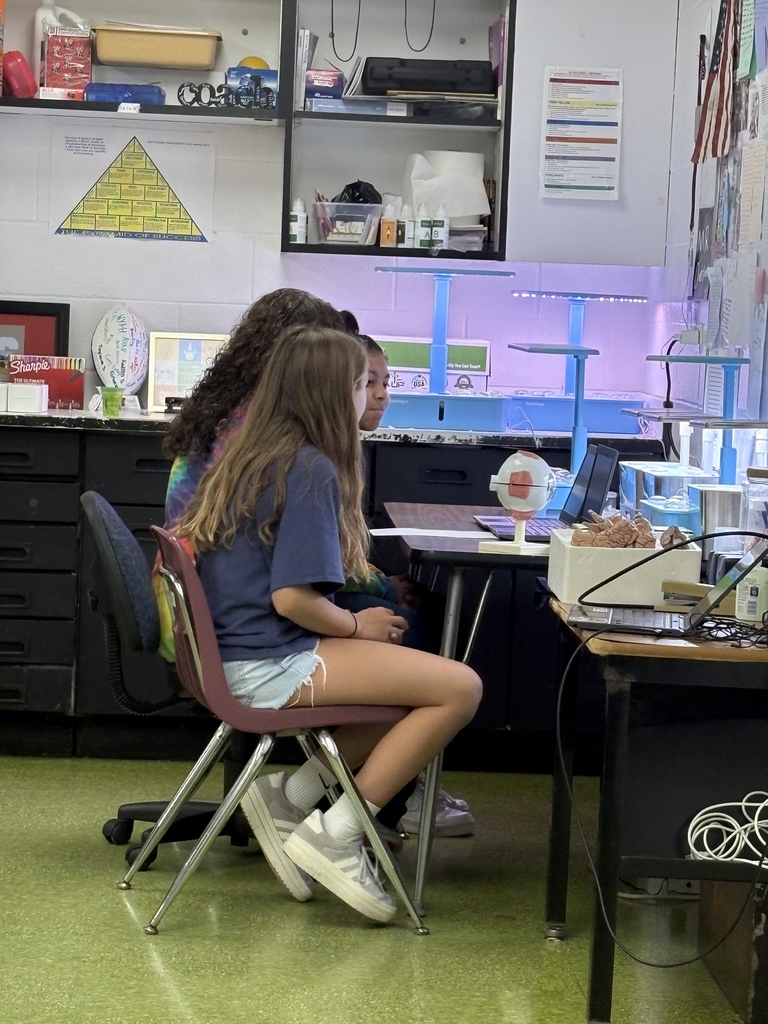 Girls on a computer