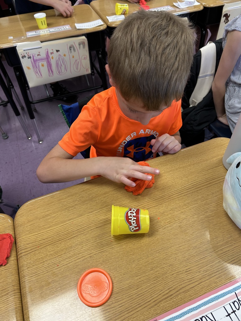 Miss Neer's class made playdough landforms !