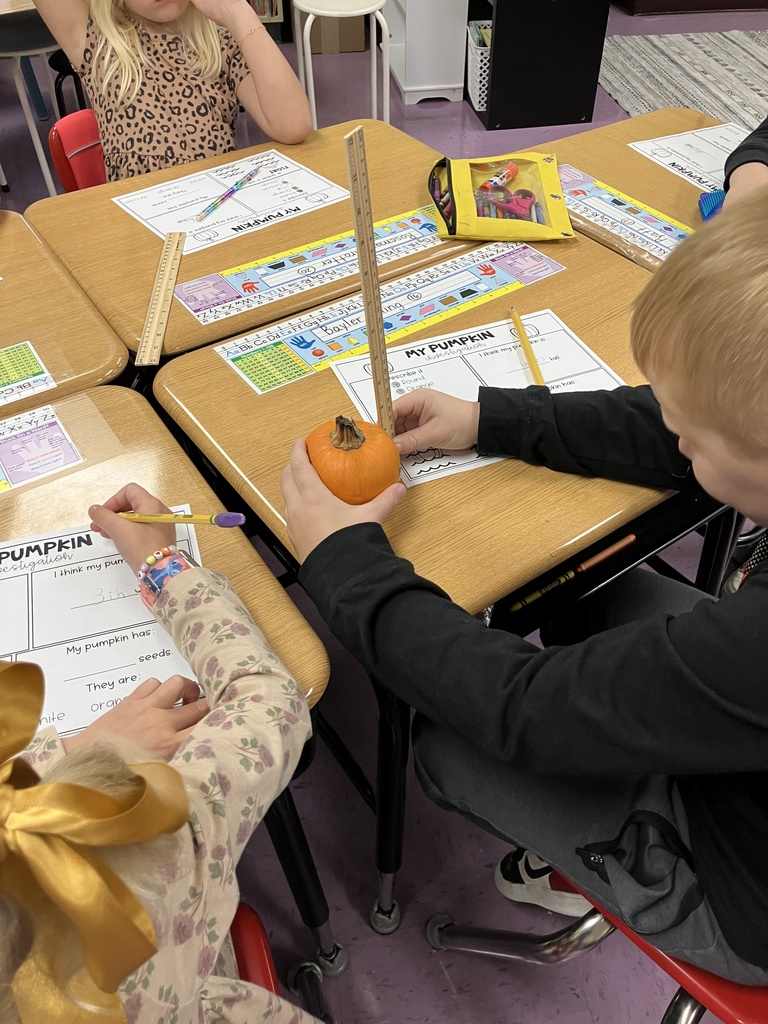 PSI-Pumpkin Science Investigantion in Ms. Stamile's first grade!