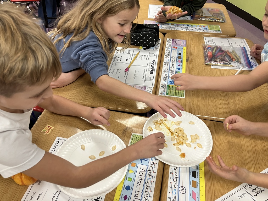 PSI-Pumpkin Science Investigantion in Ms. Stamile's first grade!