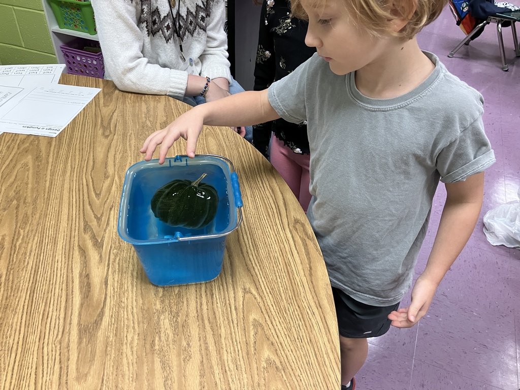 PSI-Pumpkin Science Investigantion in Ms. Stamile's first grade!