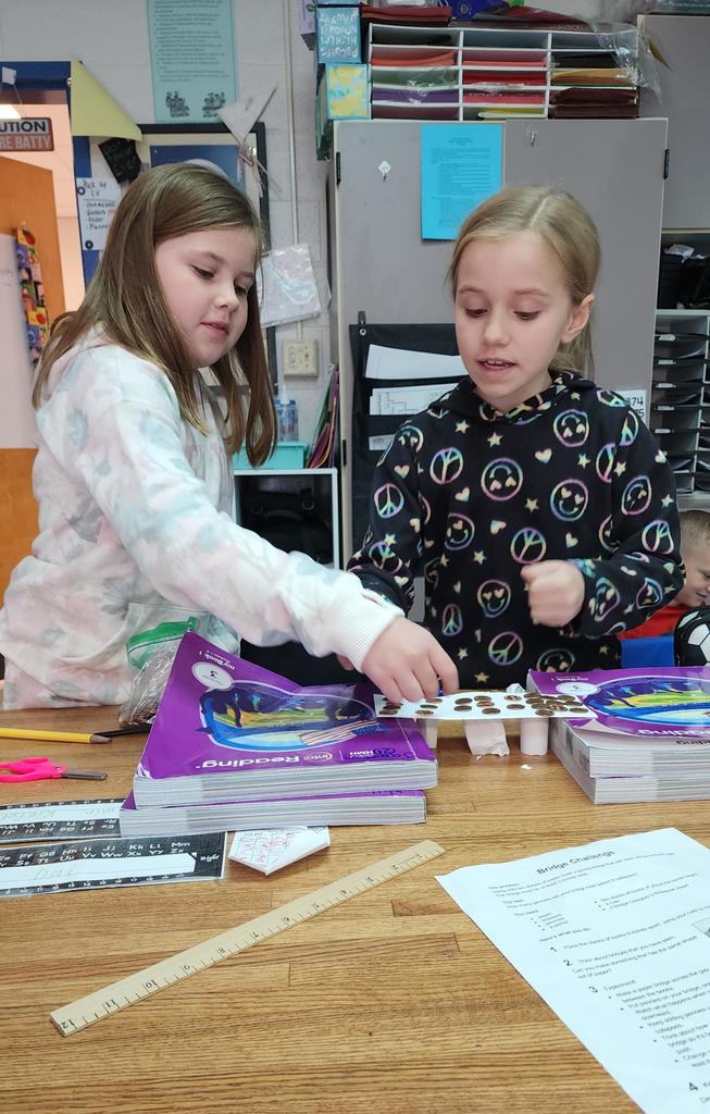 From Sketch to Structure: Our Bridge Design Challenge Was a Hit!"