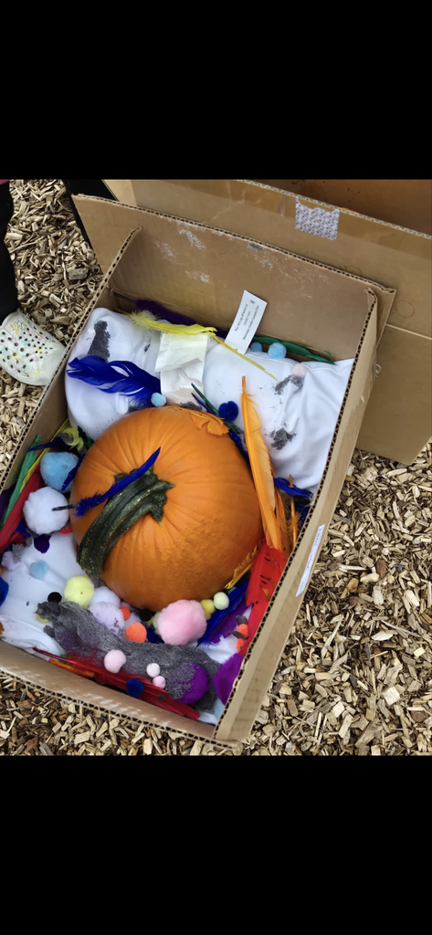 Mrs. Brittany and Ms. Belinda's Pre-K class had a blast during today’s Pumpkin Drop event! 🎃