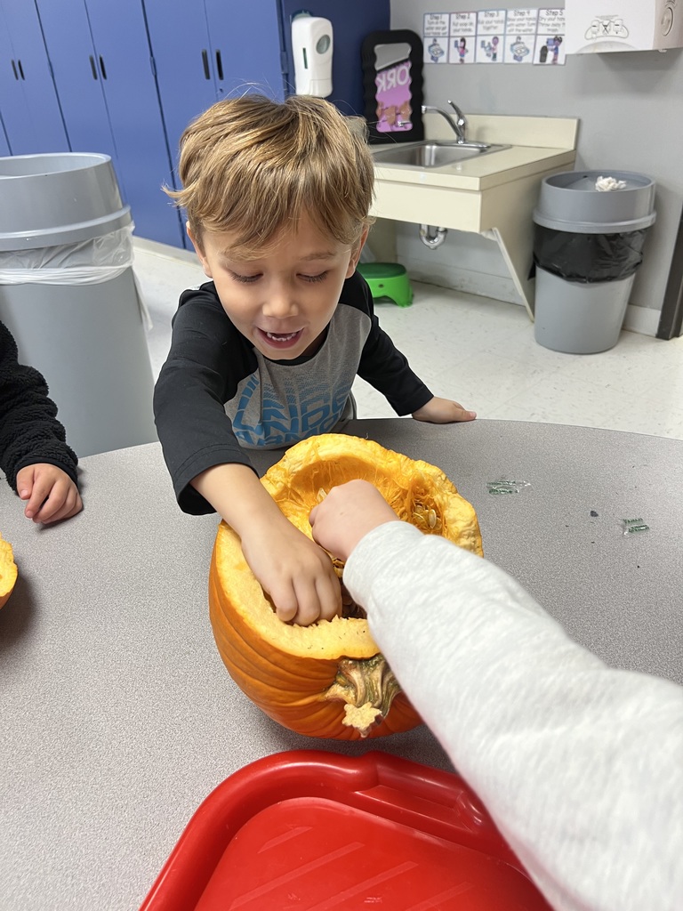 Exploring the insides of fall—our pumpkin dissection revealed seeds, slime, and science!