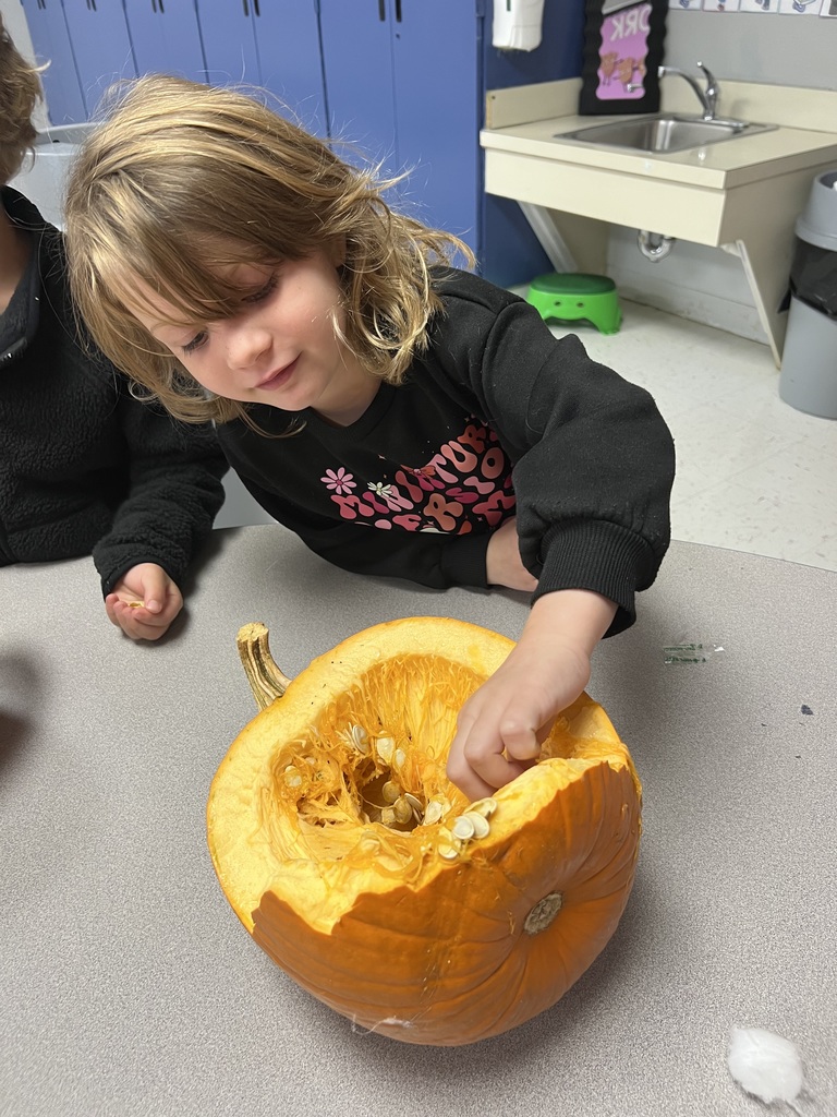 Exploring the insides of fall—our pumpkin dissection revealed seeds, slime, and science!