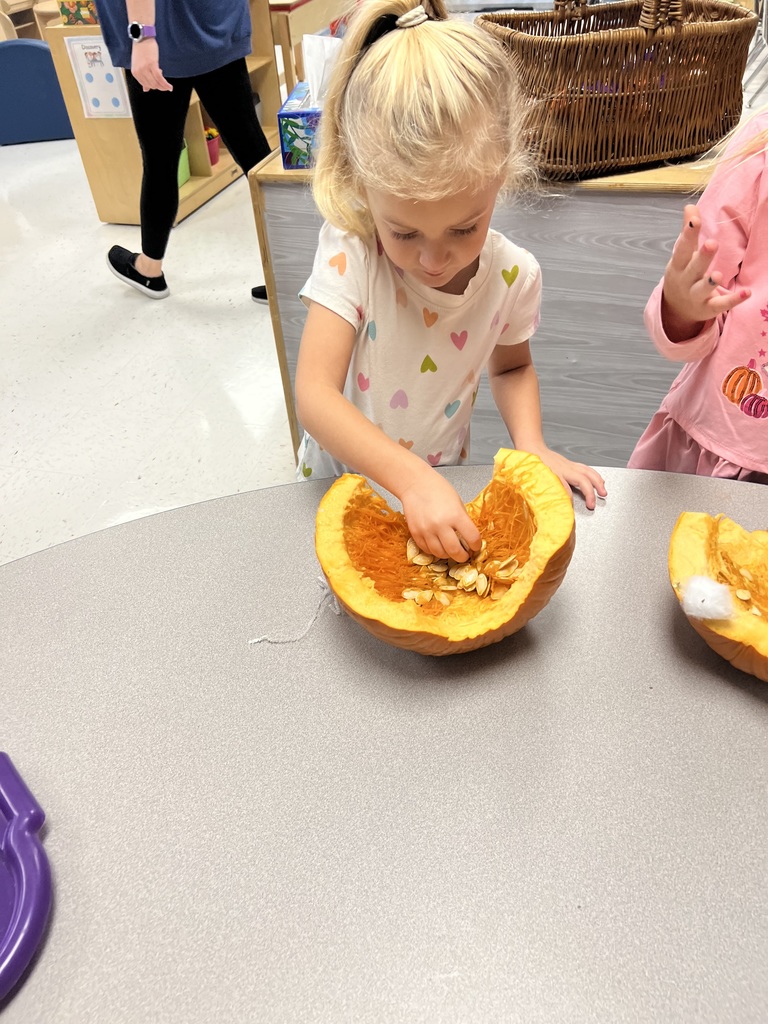 Exploring the insides of fall—our pumpkin dissection revealed seeds, slime, and science!