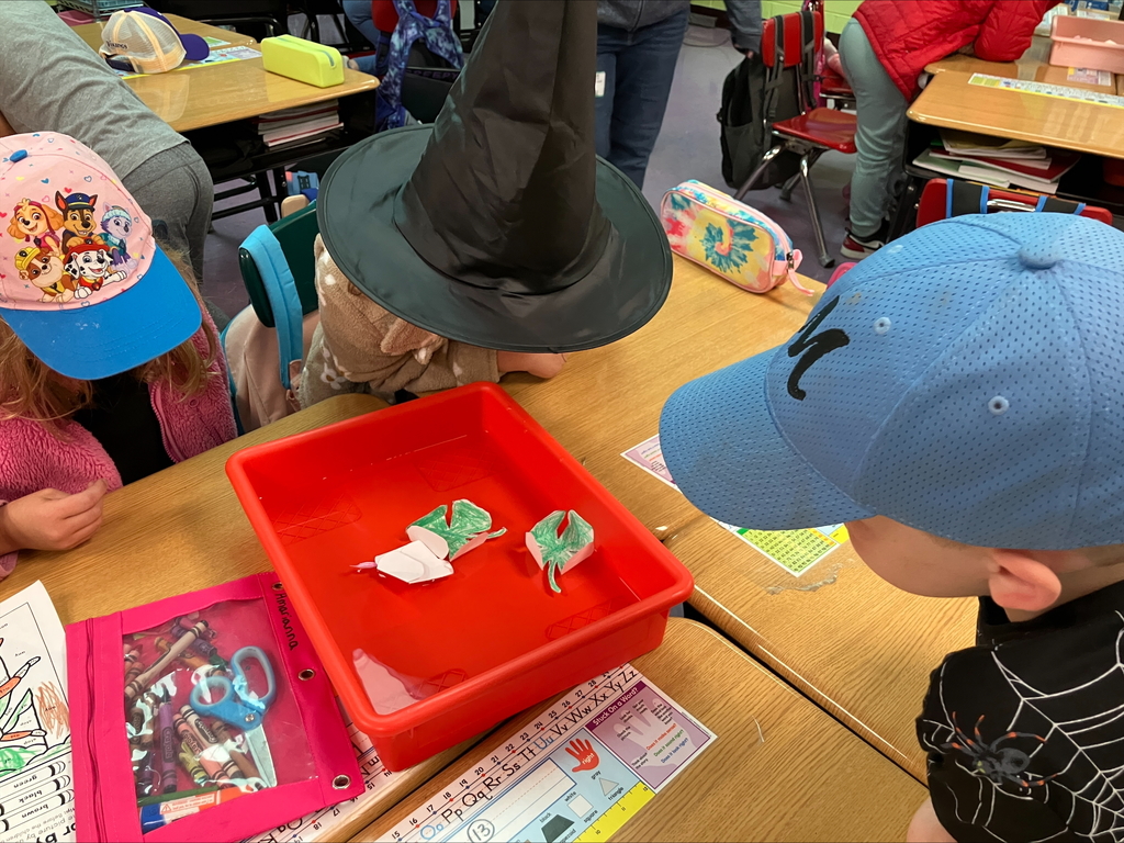 Today, 1st grade students explored the science of osmosis during an engaging visit from 4-H!