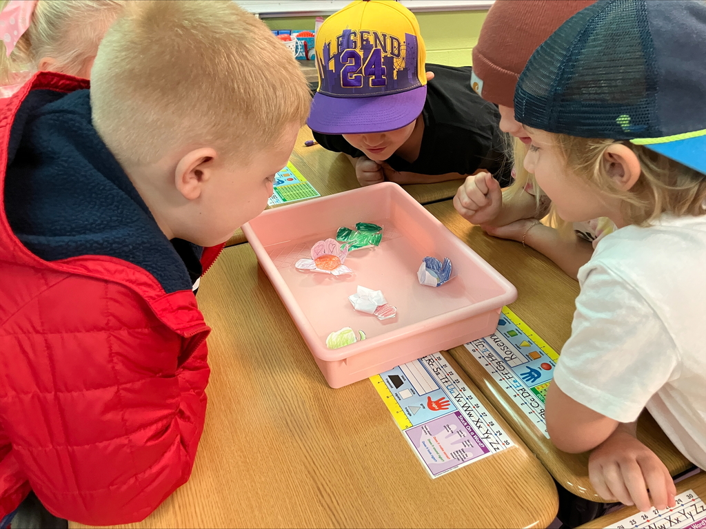 Today, 1st grade students explored the science of osmosis during an engaging visit from 4-H!