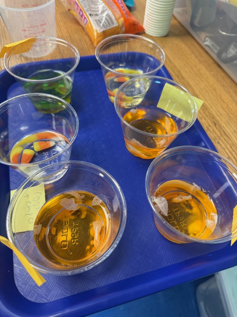5th Grade Candy Corn Chemists!  Which liquid wins the race to dissolve the candy corn? Warm water, vinegar, rubbing alcohol, and more go head-to-head in this sweet science showdown!
