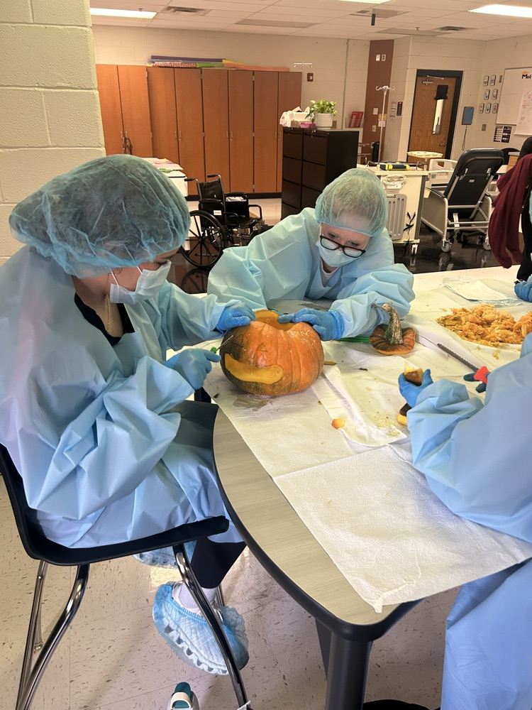 pumpkin surgery
