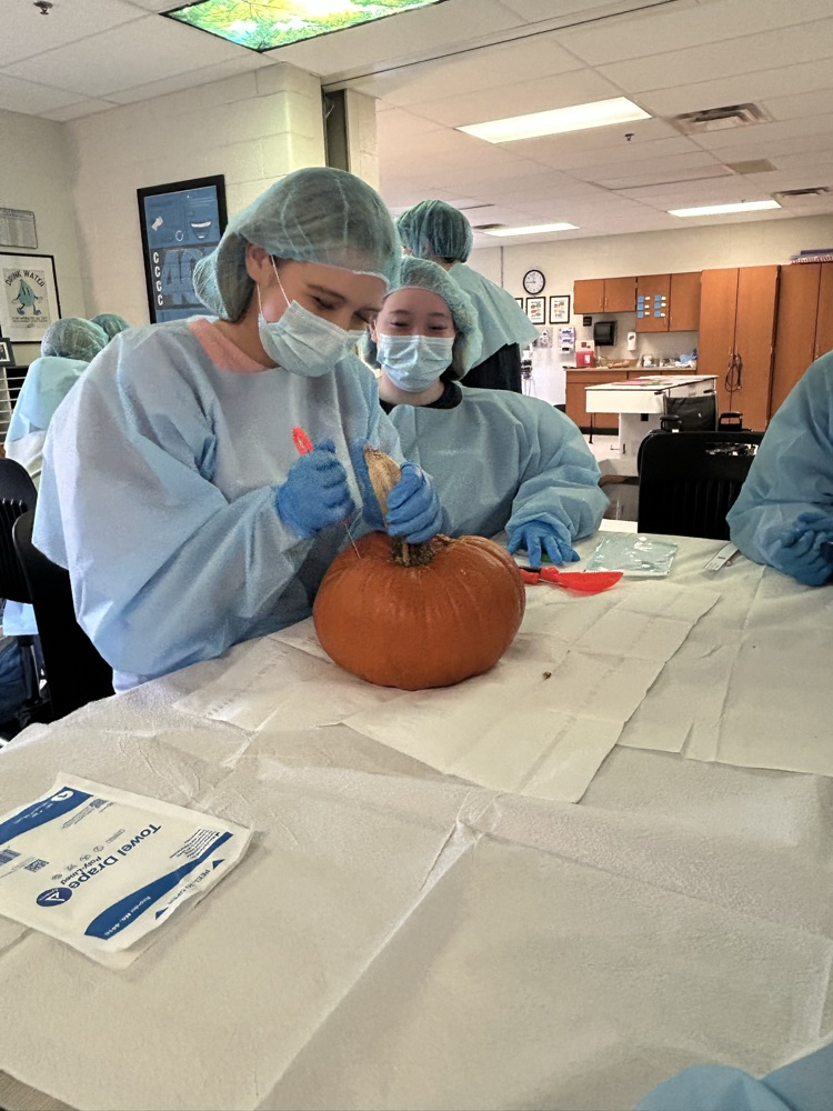 pumpkin surgery 1