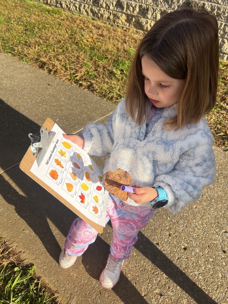 Ms. Gyorko's Pre-K class found the magic of fall! A successful leaf scavenger hunt with the cutest little nature detectives. So many smiles a nd so many leaves