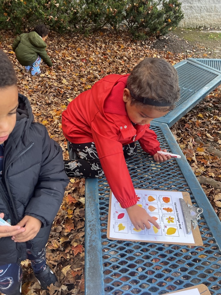 Ms. Gyorko's Pre-K class found the magic of fall! A successful leaf scavenger hunt with the cutest little nature detectives. So many smiles a nd so many leaves