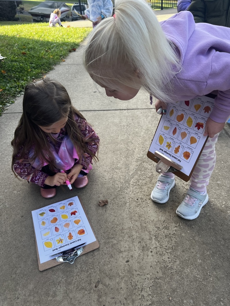 Ms. Gyorko's Pre-K class found the magic of fall! A successful leaf scavenger hunt with the cutest little nature detectives. So many smiles a nd so many leaves