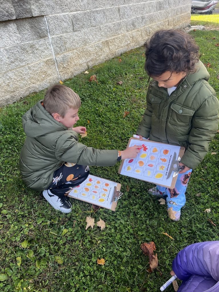 Ms. Gyorko's Pre-K class found the magic of fall! A successful leaf scavenger hunt with the cutest little nature detectives. So many smiles a nd so many leaves