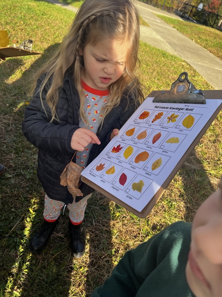 Ms. Gyorko's Pre-K class found the magic of fall! A successful leaf scavenger hunt with the cutest little nature detectives. So many smiles a nd so many leaves