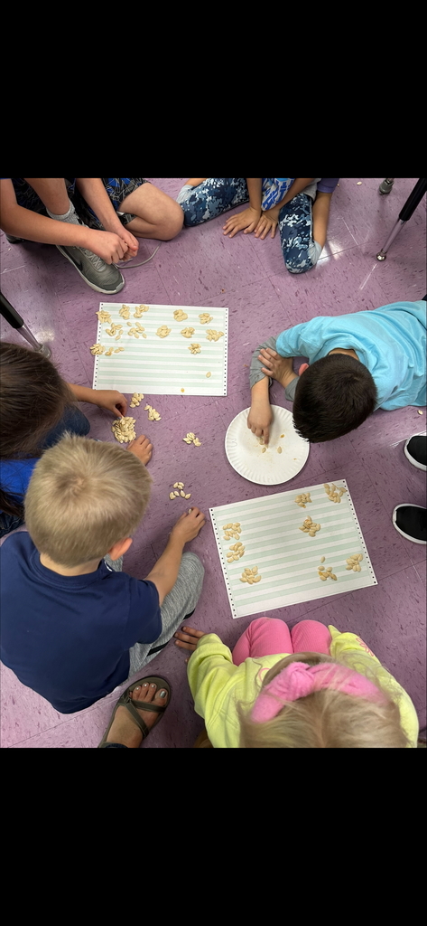 Mrs. Skotnicki's class tackeled two awesome activities last week, Water Science and Pumpkin Power!