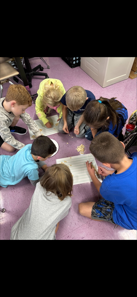 Mrs. Skotnicki's class tackeled two awesome activities last week, Water Science and Pumpkin Power!