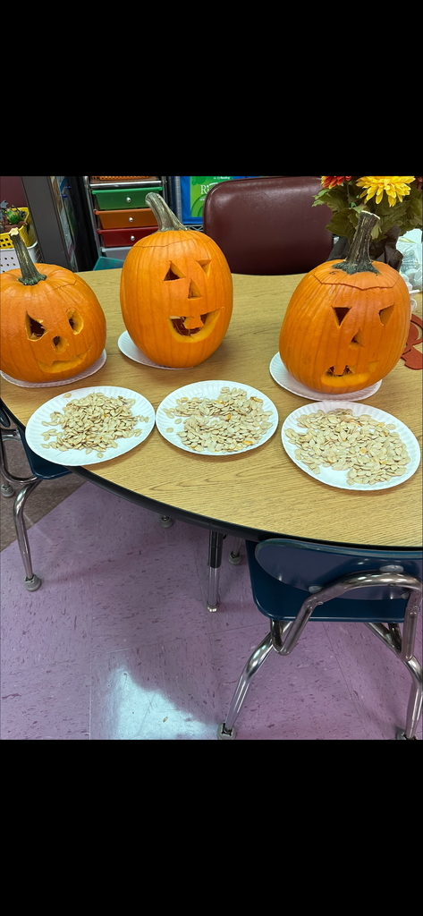 Mrs. Skotnicki's class tackeled two awesome activities last week, Water Science and Pumpkin Power!