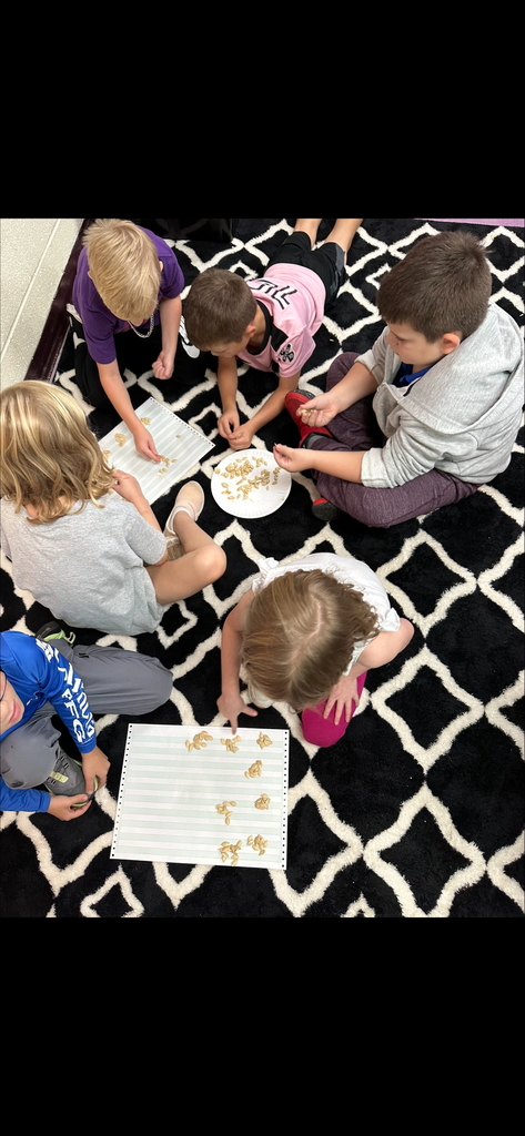 Mrs. Skotnicki's class tackeled two awesome activities last week, Water Science and Pumpkin Power!