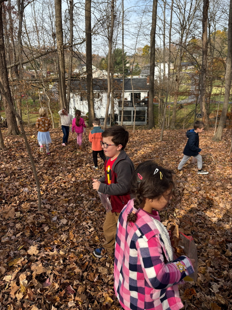 Our class took a nature walk and made art from nature they collected.