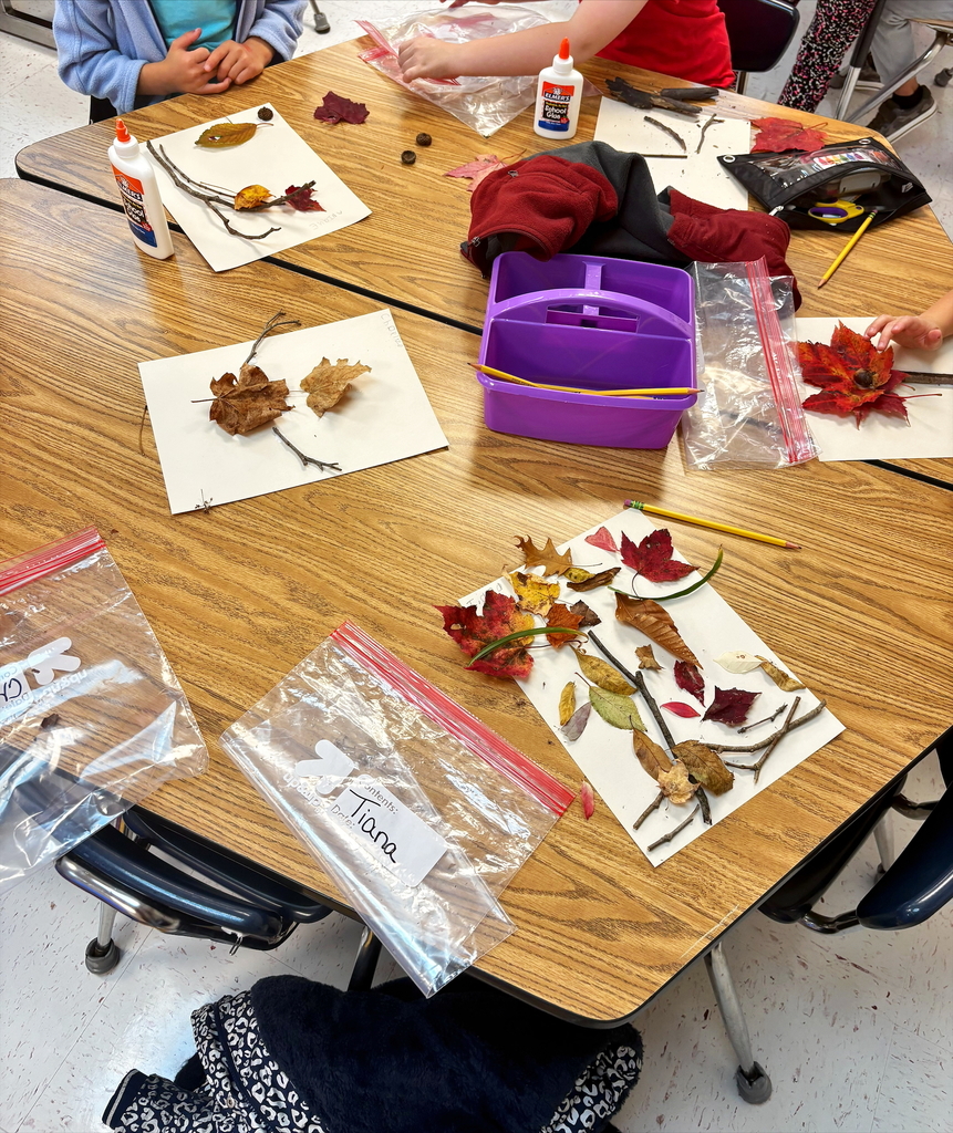 Our class took a nature walk and made art from nature they collected.