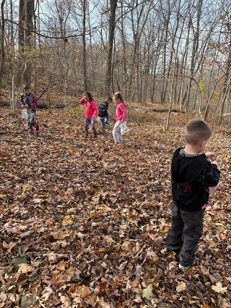 Our class took a nature walk and made art from nature they collected.
