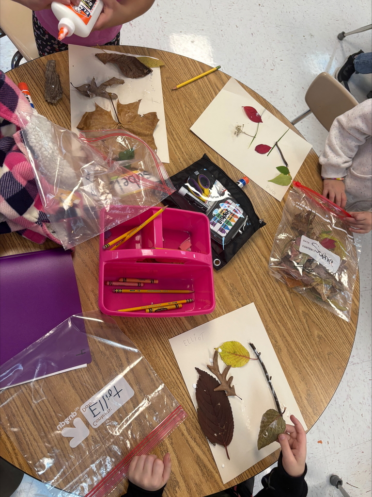 Our class took a nature walk and made art from nature they collected.