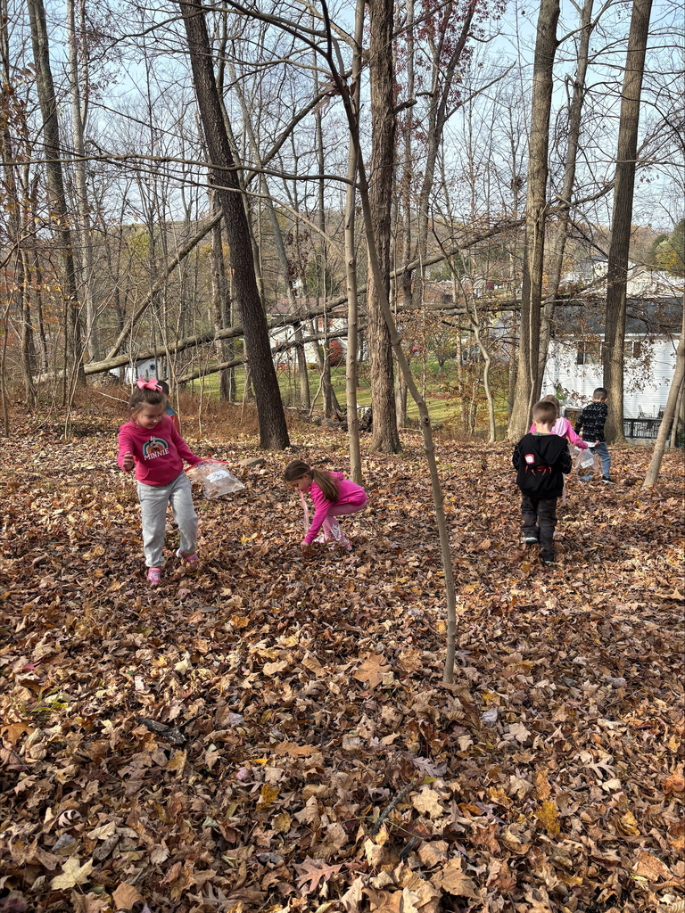 Our class took a nature walk and made art from nature they collected.