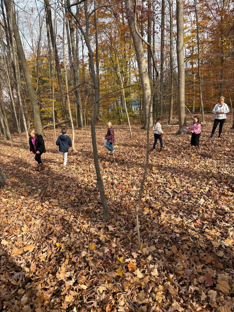 Our class took a nature walk and made art from nature they collected.