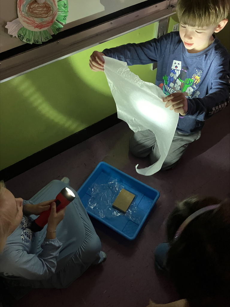 We had a brilliant day exploring the properties of light and matter! Our hands-on experiment focused on classifying objects based on how much light they let pass through.