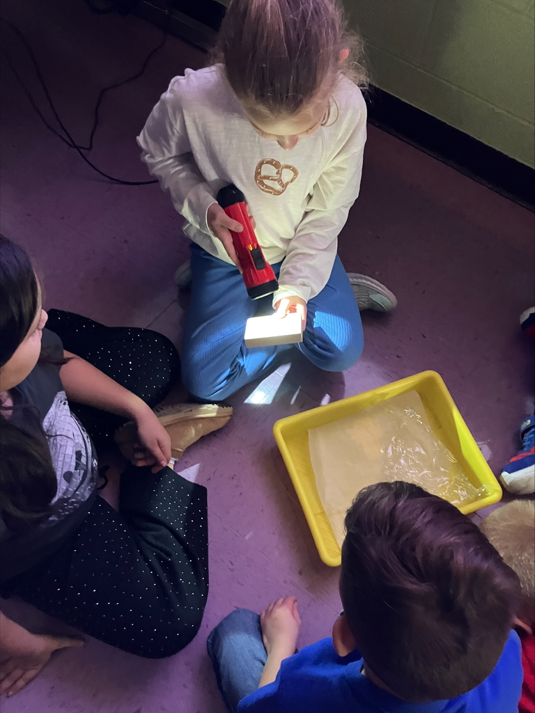 We had a brilliant day exploring the properties of light and matter! Our hands-on experiment focused on classifying objects based on how much light they let pass through.