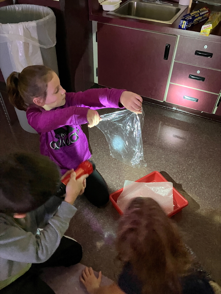 We had a brilliant day exploring the properties of light and matter! Our hands-on experiment focused on classifying objects based on how much light they let pass through.