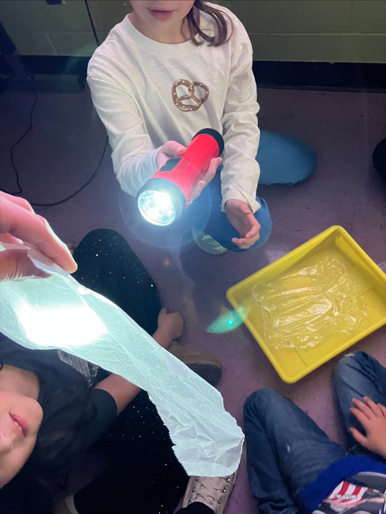 We had a brilliant day exploring the properties of light and matter! Our hands-on experiment focused on classifying objects based on how much light they let pass through.