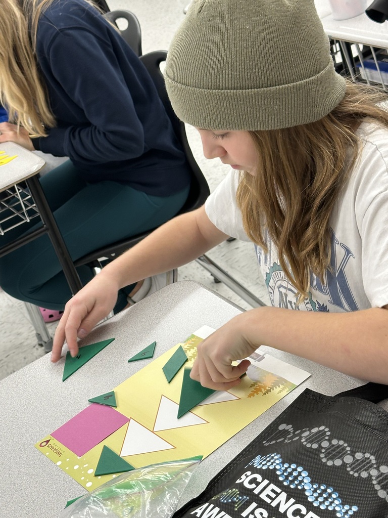 student working on a math activity