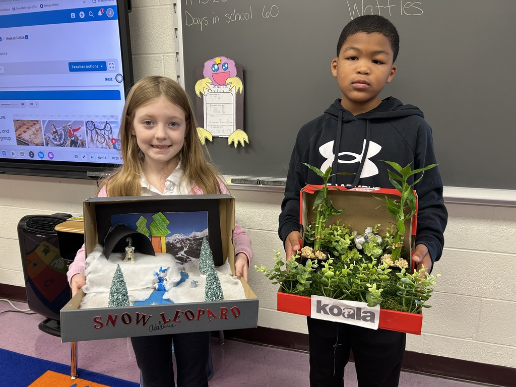 Students brought their research to life by creating vibrant dioramas that showcase their chosen animal in its natural habitat. Each display is a mini world packed with creativity and fascinating facts!