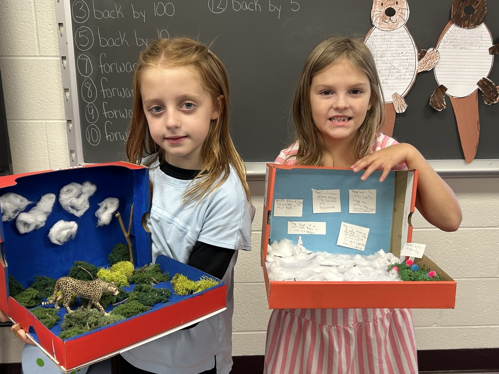 Students brought their research to life by creating vibrant dioramas that showcase their chosen animal in its natural habitat. Each display is a mini world packed with creativity and fascinating facts!