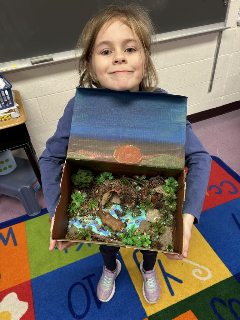 Students brought their research to life by creating vibrant dioramas that showcase their chosen animal in its natural habitat. Each display is a mini world packed with creativity and fascinating facts!