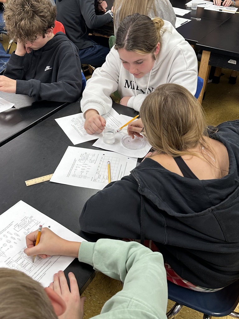 students working on a sc lab