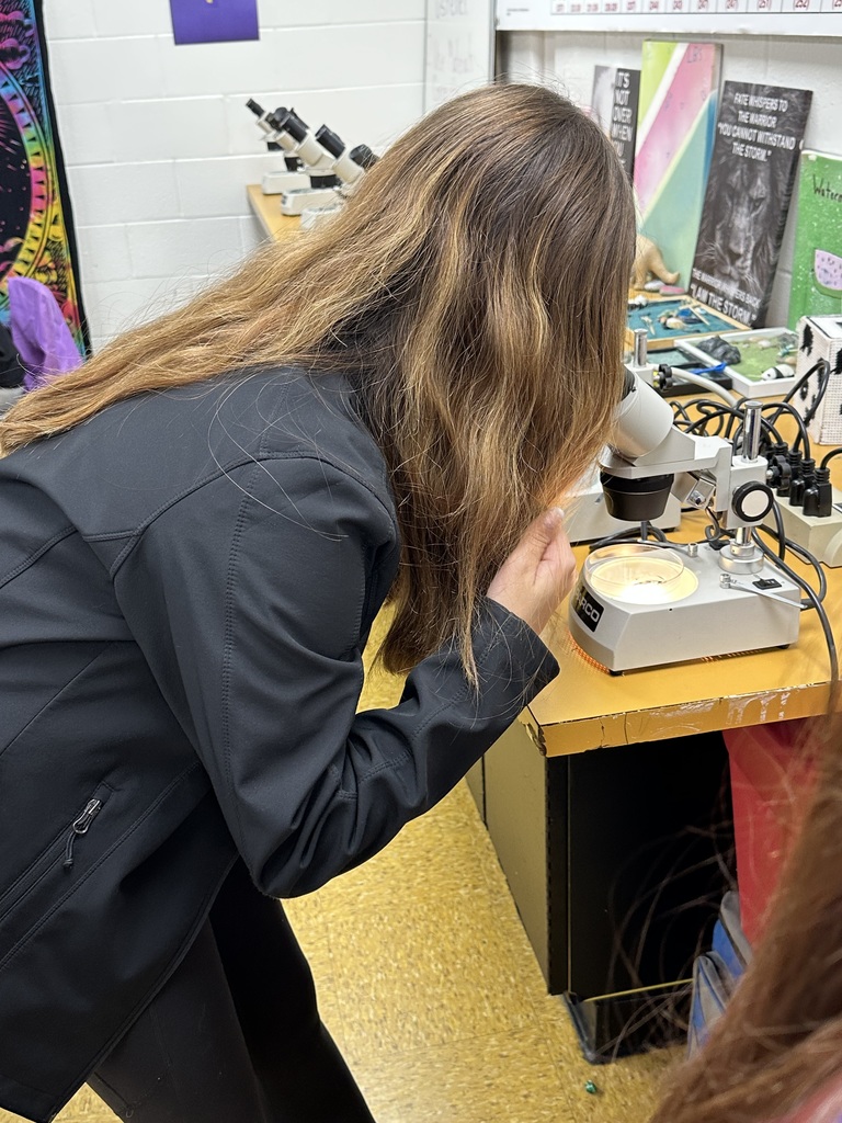 Girl looking into a microscope
