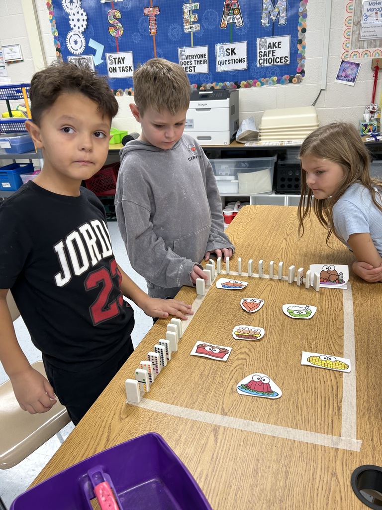 Our class visited the STEAM Lab where we learned about agility and created domino pathways!