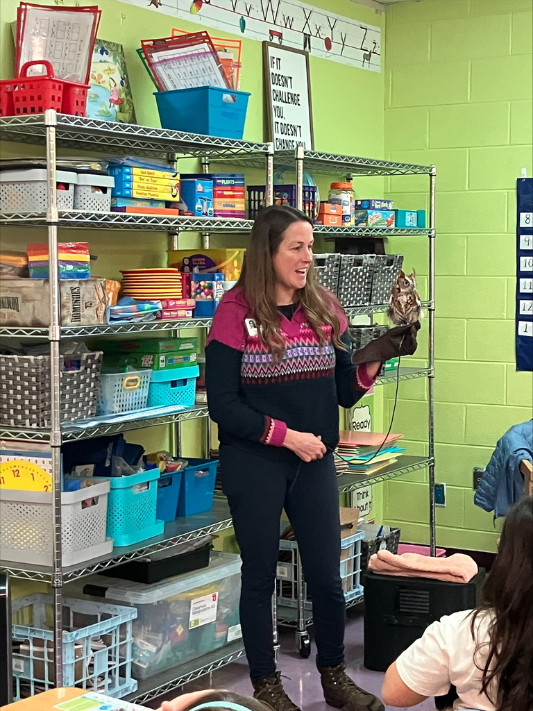 Katie Fallon came to our class this afternoon for read-aloud! She brought in a Screech Owl named Randolph for the class to learn about!