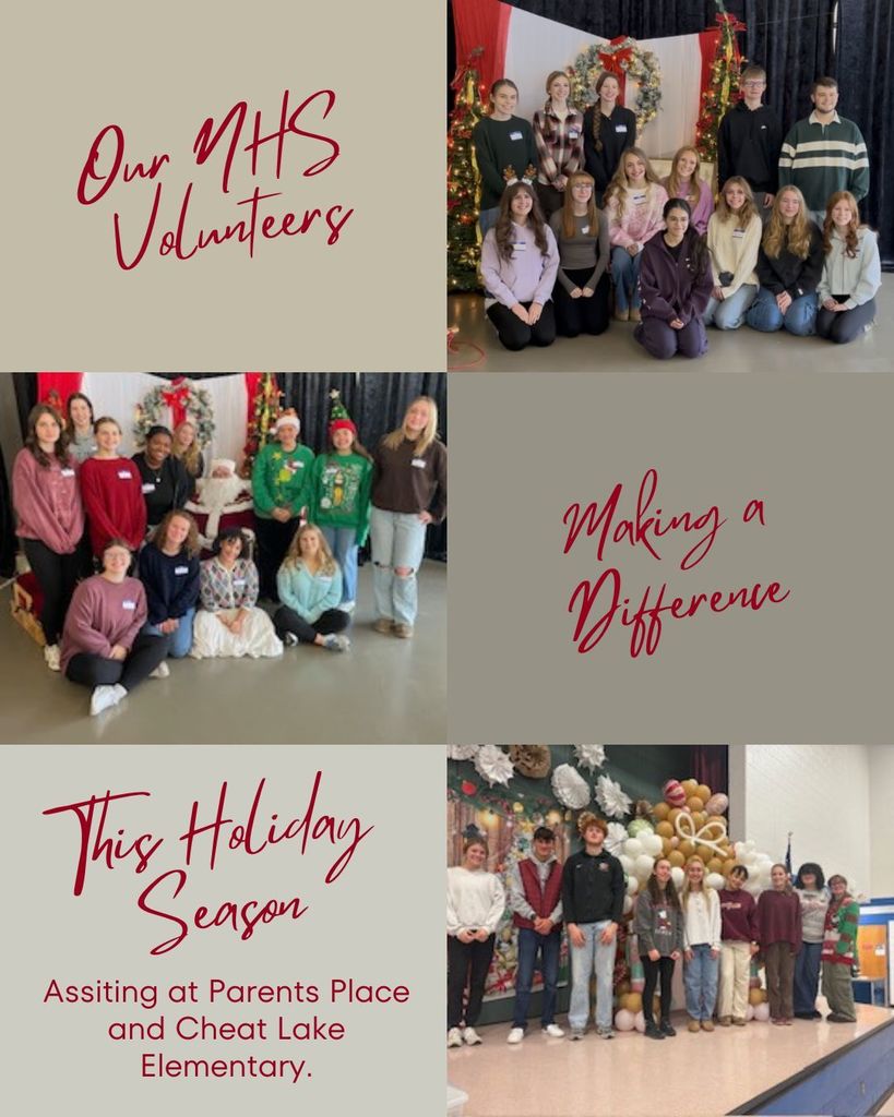 NHS Holiday volunteers