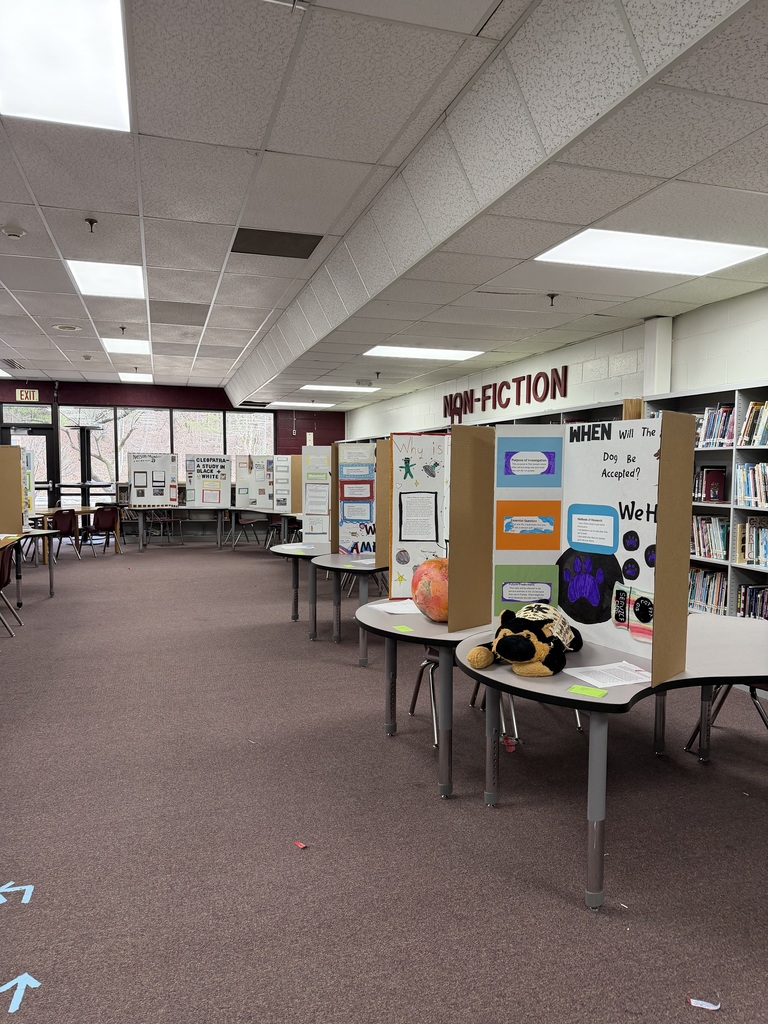 A bunch of SS Fair Projects in the library