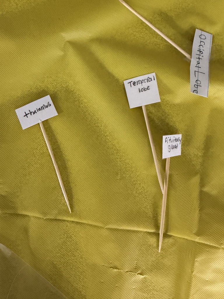 labeling sticks